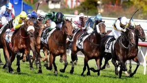 Cá Cược Đua Ngựa